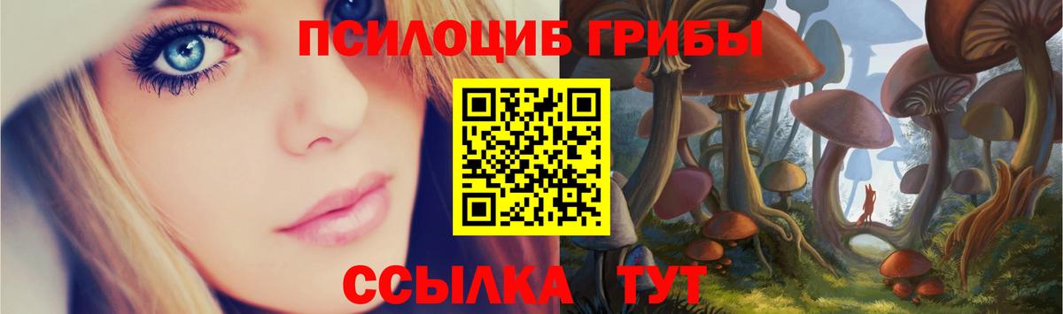 сколько стоит  Галлюциногенные грибы MAGIC MUSHROOMS  Вход с VPN  Тамбов 